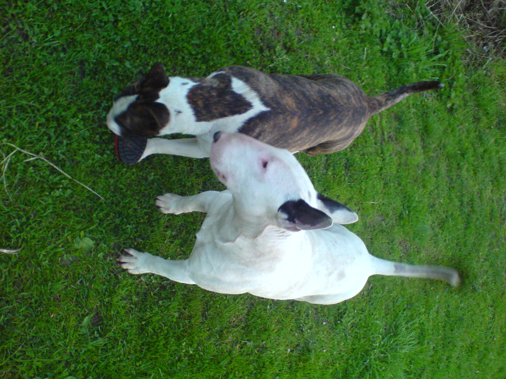 Amy a Kuba