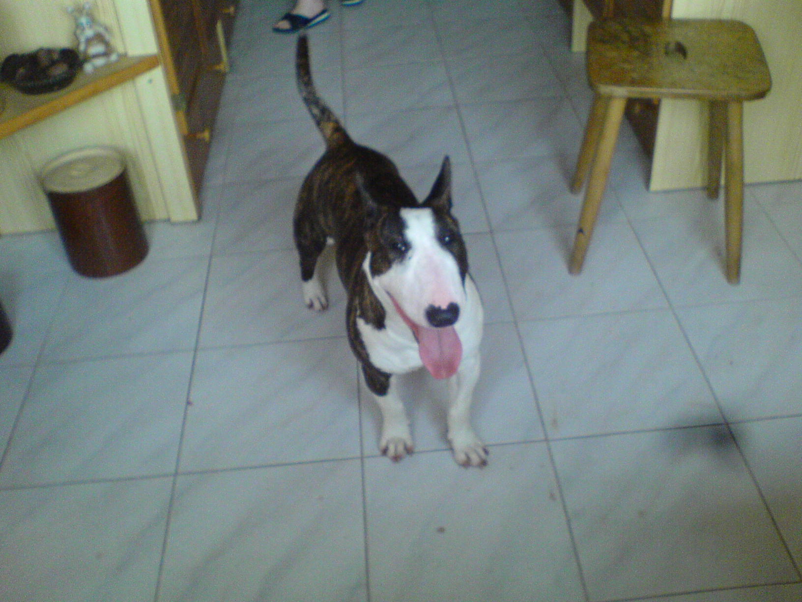 Amy