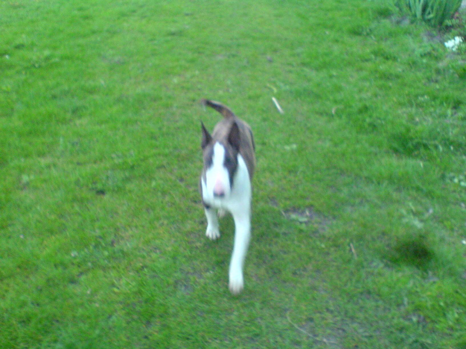 (5)Amy  